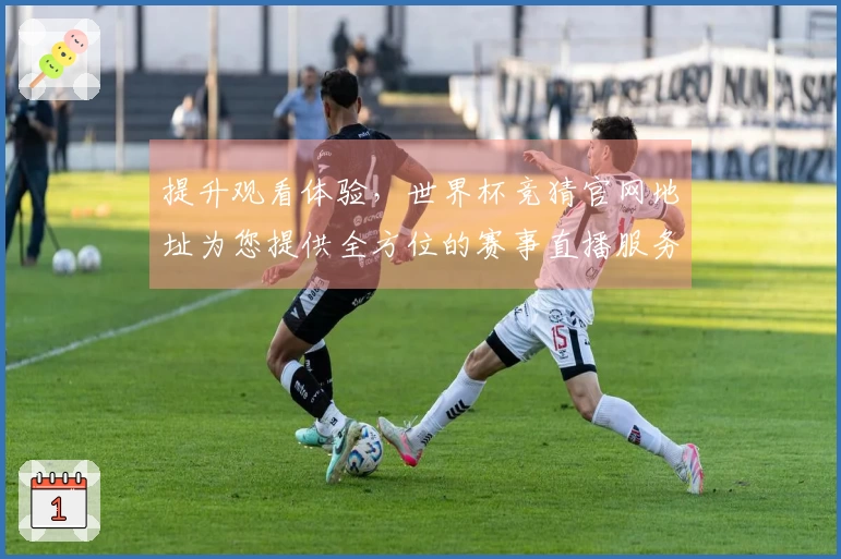 提升观看体验，世界杯竞猜官网地址为您提供全方位的赛事直播服务