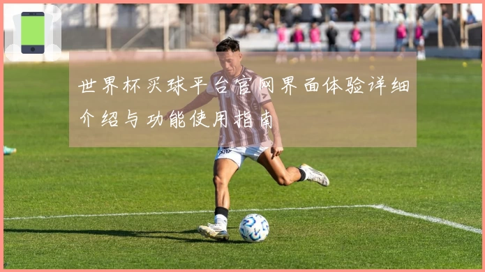 世界杯买球平台官网界面体验详细介绍与功能使用指南