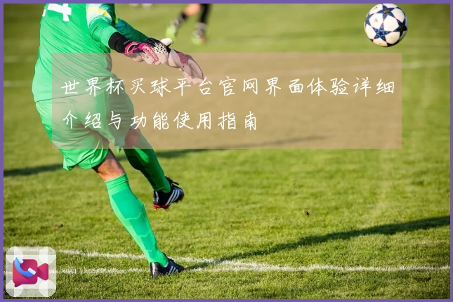 世界杯买球平台官网界面体验详细介绍与功能使用指南