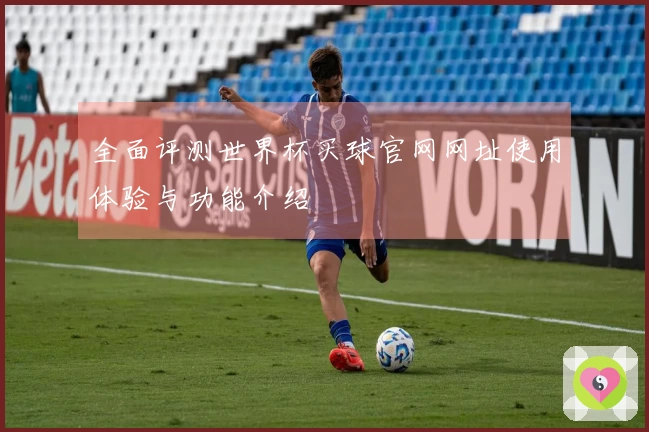 全面评测世界杯买球官网网址使用体验与功能介绍